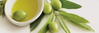 Organic Olive Oil: God&rsquo;s Gift!