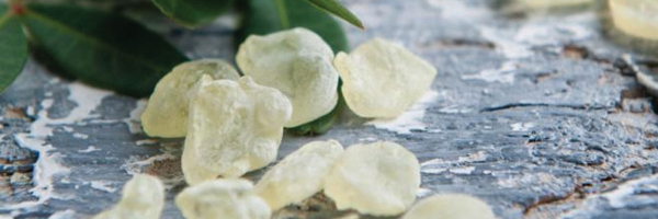 Chios Mastiha Organic Products: Unique!